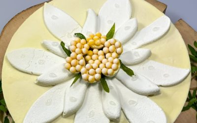 Quand la pâtisserie rencontre l’ingénierie